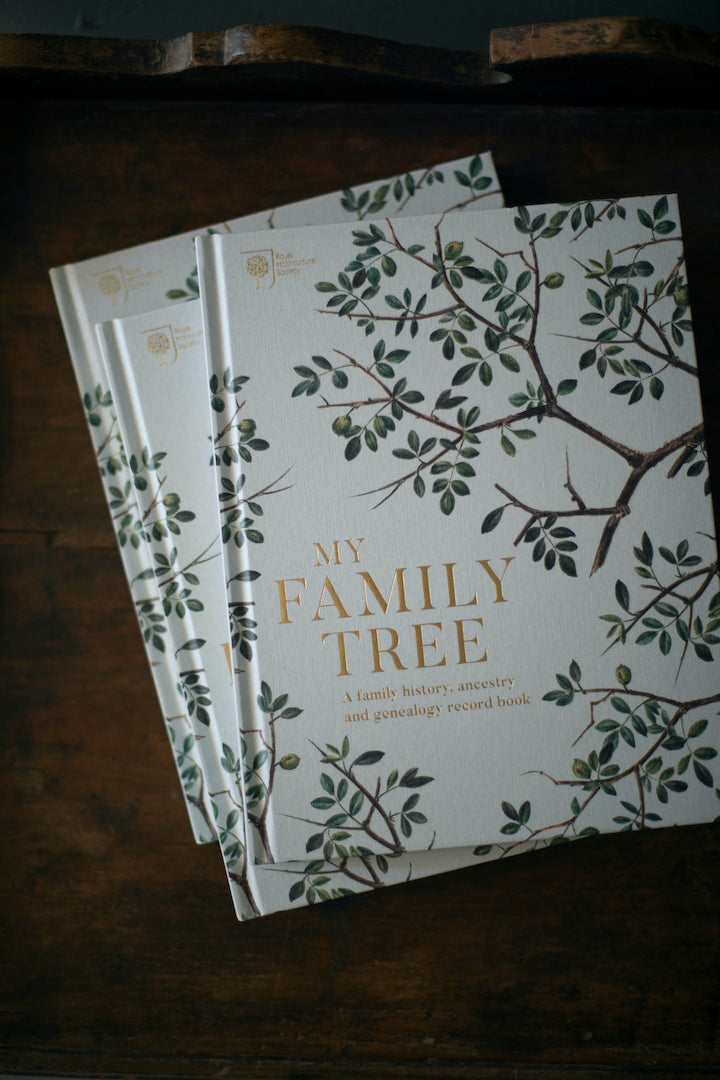 My Family Tree Book 759951